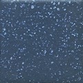 D209-NS4
